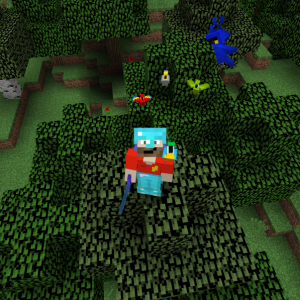 Auf dem Rückweg vom Papageienfangen