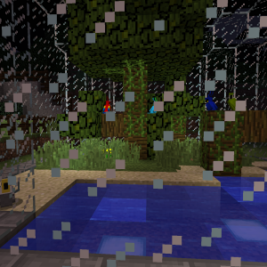 Papageien ziehen ein