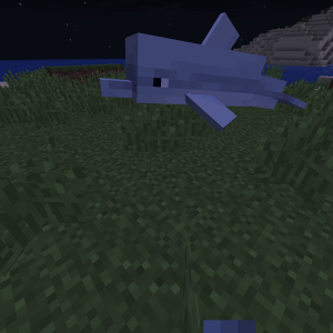 Oh, EIn Land-Delfin!