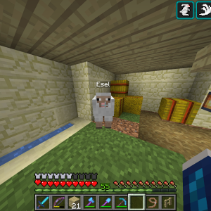 Der neueste Bewohner Trojas: Esel