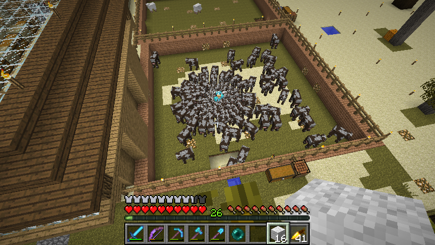 Crack und seine Fangirls