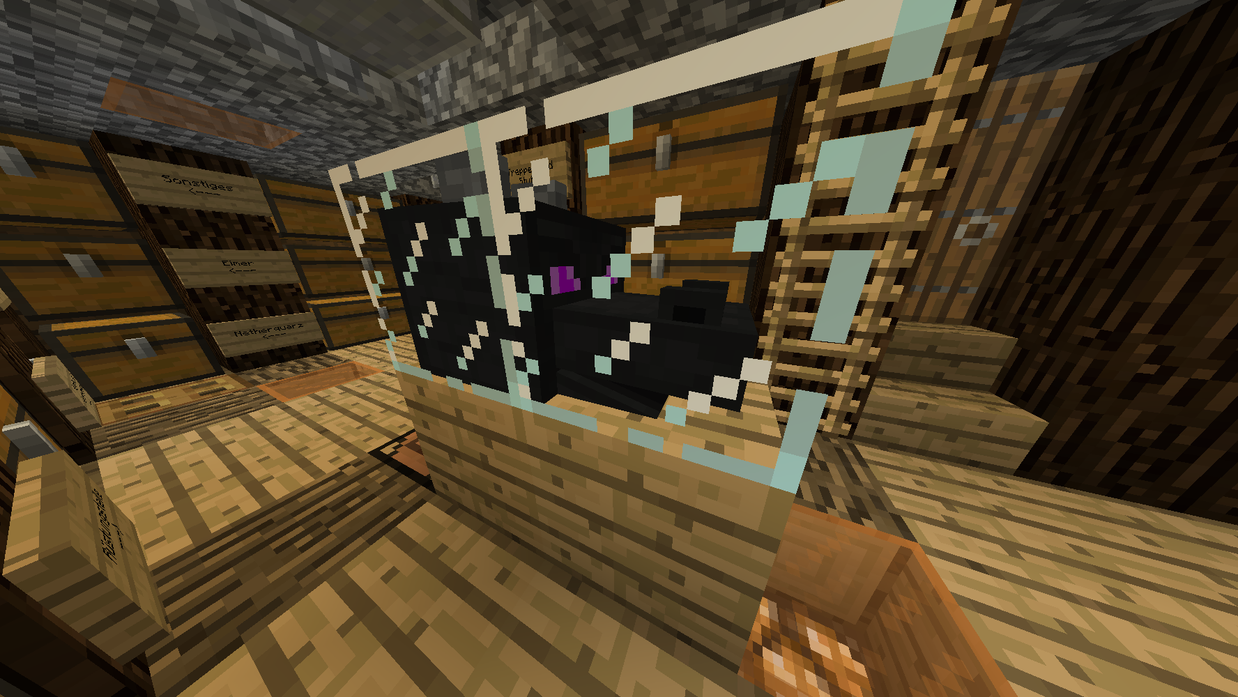 Ein Drachenkopf im Glaskasten